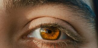 Jakie są opinie klientów na temat rzęs magnetycznych?