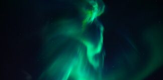 Czy dodawać ziemi do zanęty?