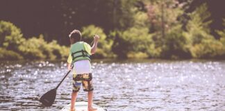 Po co kamizelka na konie?