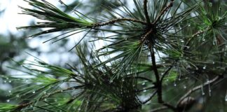 Jak zamontować bagażnik na rowery?