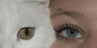 Co oznacza membrana 15000?