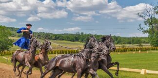 Co potrzebuje jeździec?