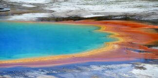 Jaki kubek termiczny 2023?