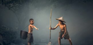 Co zamiast kukurydzy na ryby?