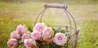 Gdzie są kosze na plaży?