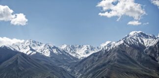 Jak jest po angielsku kusza?