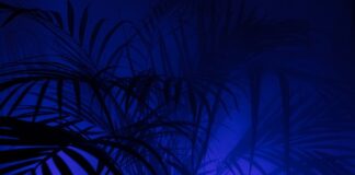 Co to są legginsy antycellulitowe?