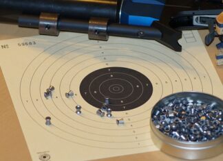 Czy z wiatrówki da się zabić lisa? Czy z wiatrówki da się zabić lisa?