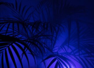 Jak powinny leżeć legginsy? Jak powinny leżeć legginsy?