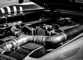 Co widać pod światłem UV?