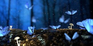 Z jakiego drewna można zrobić kubek?