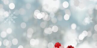 Jaka najlepsza torba na rower?