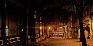 Czym się różni lampa naftowa od lampy olejowej?