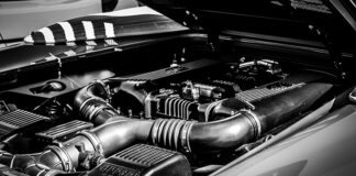 Czy człowiek widzi światło UV?