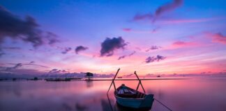 Co oznacza dany kolor bransoletki?