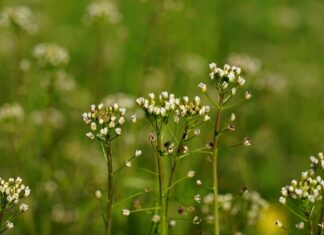 Jak dobrać torebkę do sukienki na wesele? Jak dobrać torebkę do sukienki na wesele?