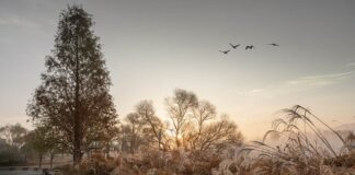 Ile daje się na wesele jako gość?