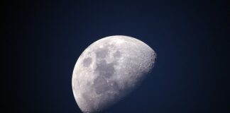 Czy polar i poliester to to samo?